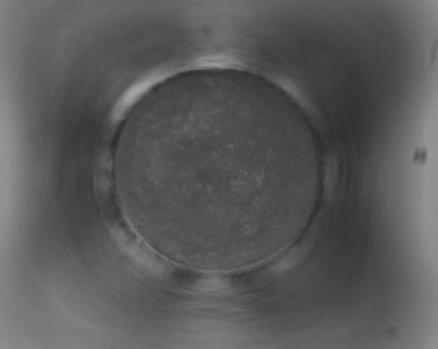 X0000114661358200910201521