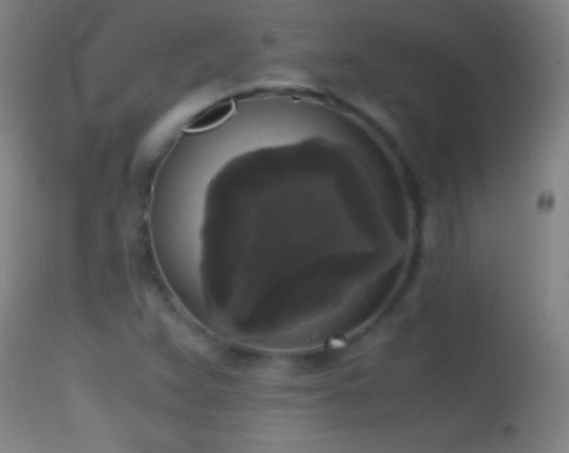 X0000114661359200910201521