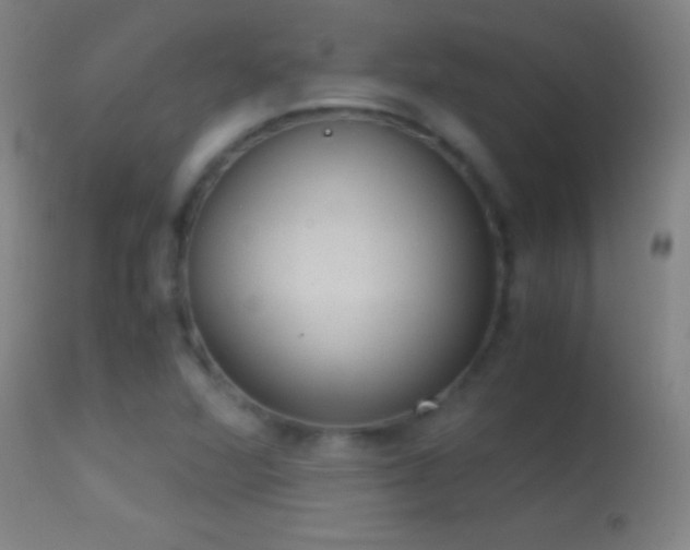 X0000114661360200910201521