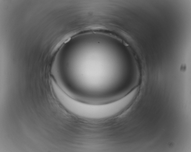 X0000114661361200910201521