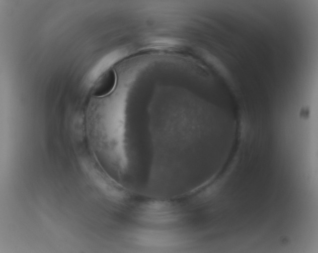 X0000114661362200910201521