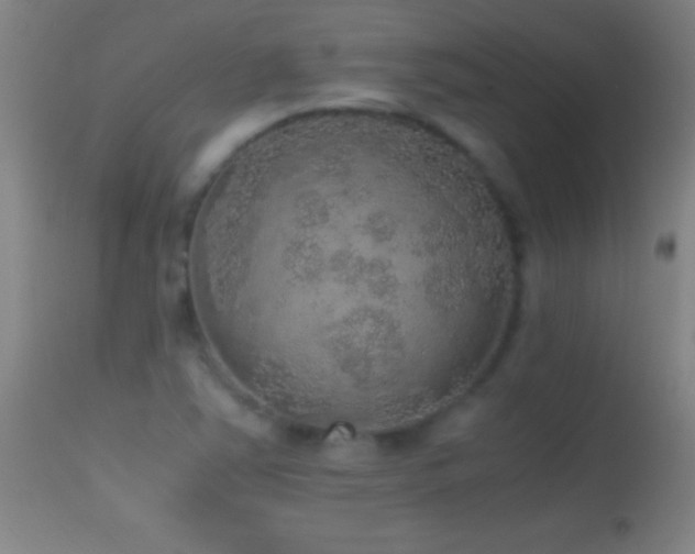 X0000114661363200910201521