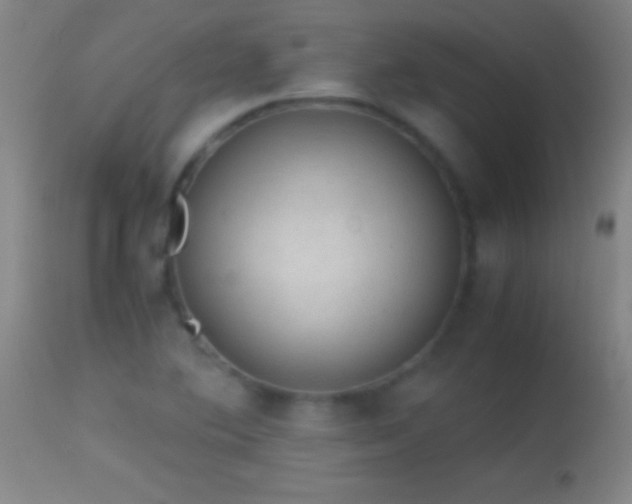 X0000114661364200910201521