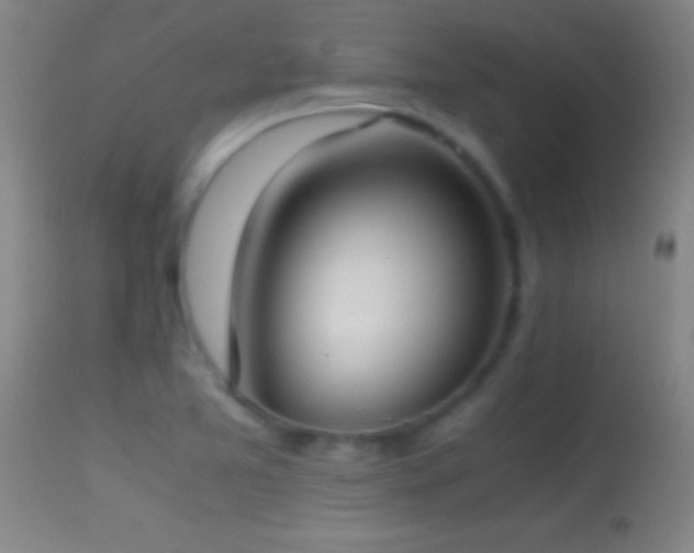 X0000114661365200910201521