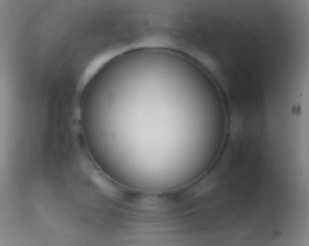 X0000114661366200910201521