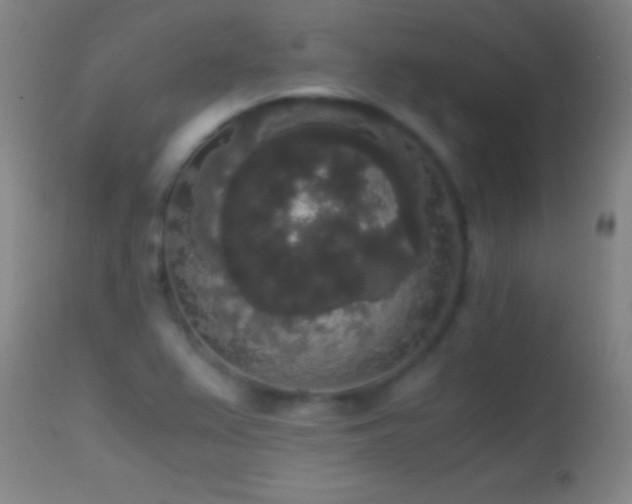 X0000114661367200910201521