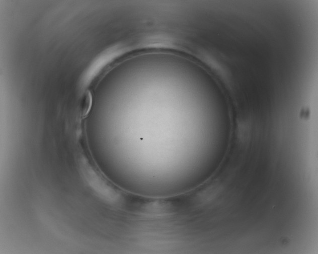 X0000114661368200910201521