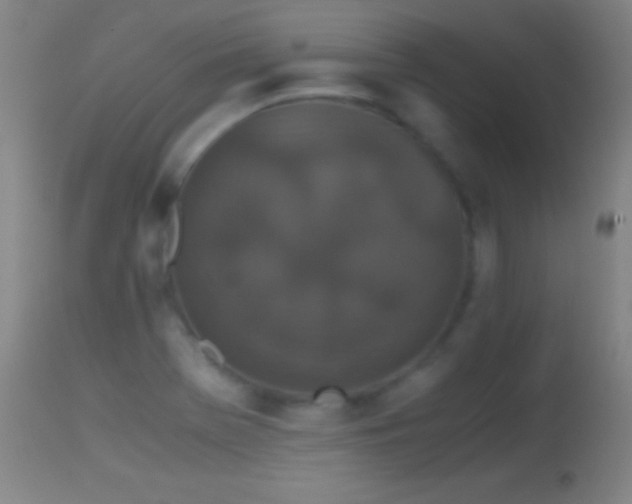 X0000114661369200910201521