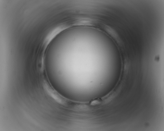 X0000114661370200910201521