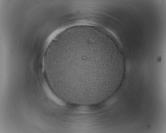 X0000114661371200910201521