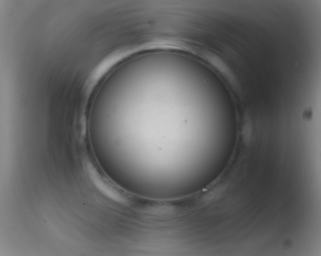 X0000114661372200910201521