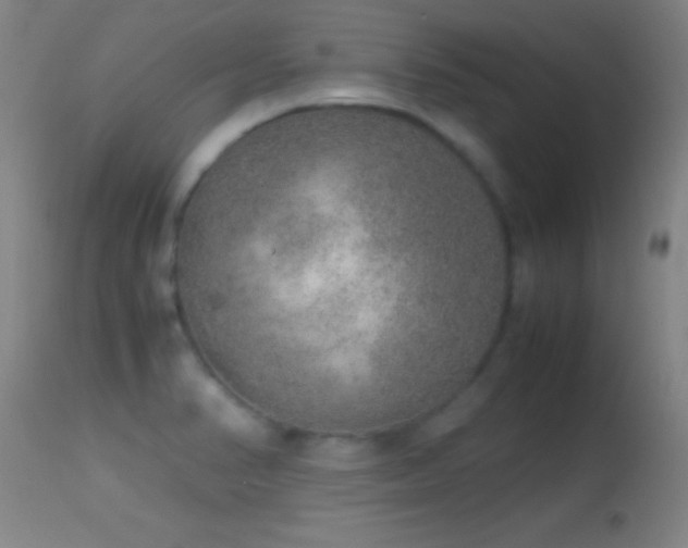 X0000114661374200910201521