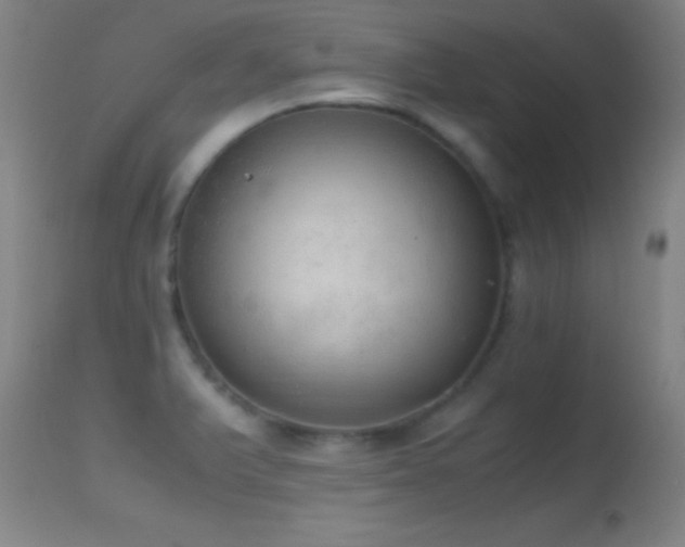 X0000114661375200910201521