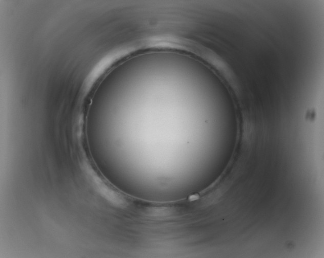 X0000114661376200910201521