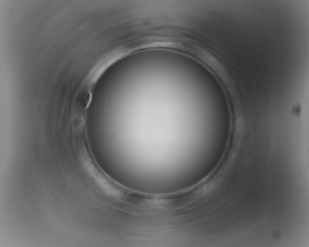 X0000114661377200910201521