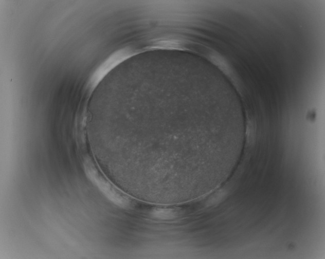 X0000114661378200910201521