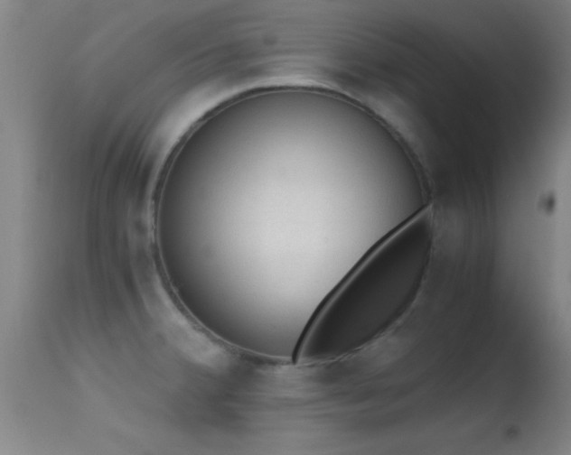 X0000114661380200910201521