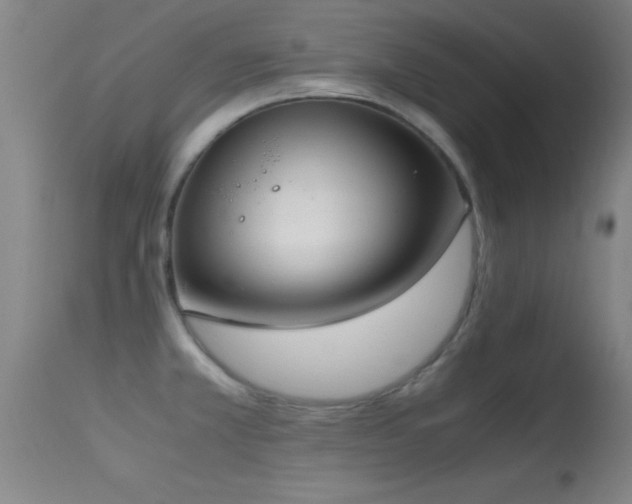 X0000114661381200910201521