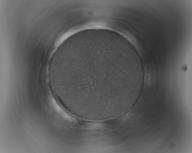 X0000114661382200910201521