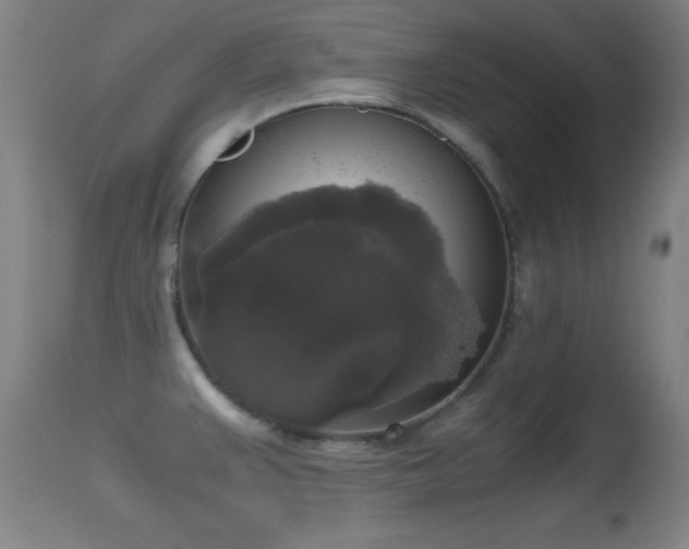 X0000114661383200910201521