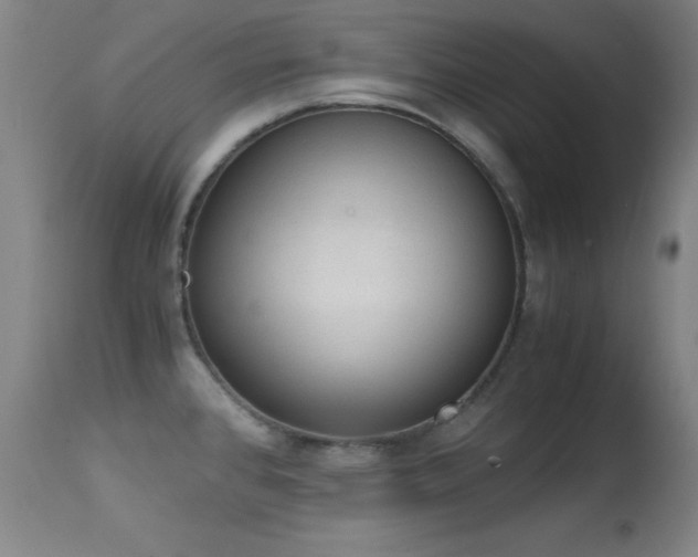 X0000114661384200910201521