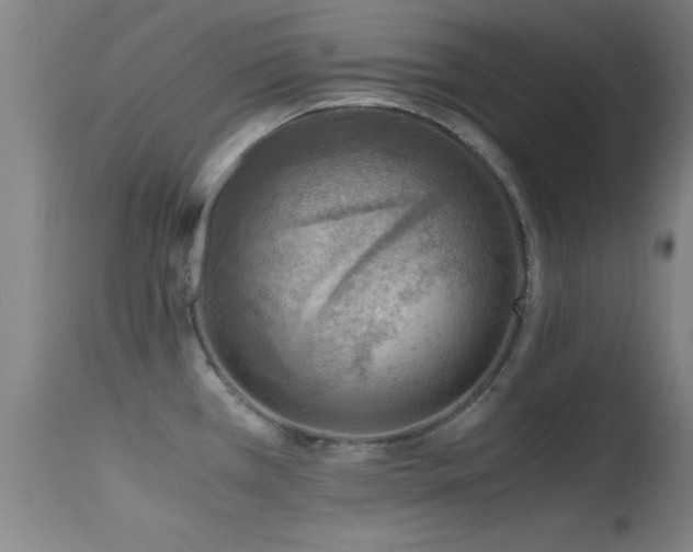 X0000114661385200910201521