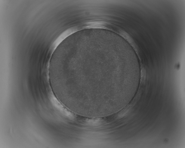 X0000114661386200910201521