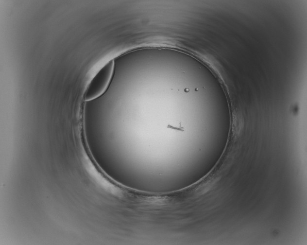 X0000114661387200910201521