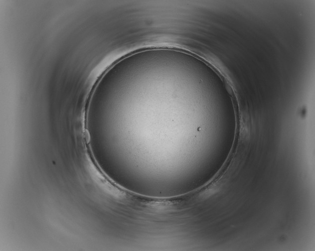 X0000114661388200910201521