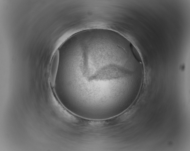 X0000114661389200910201521