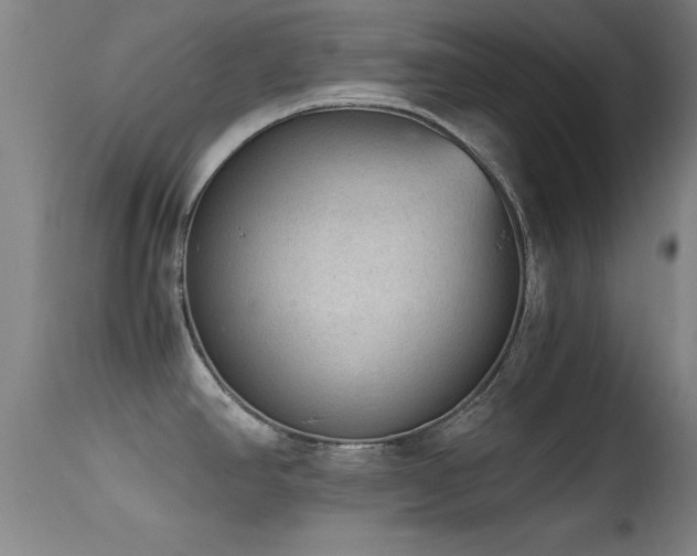 X0000114661390200910201521