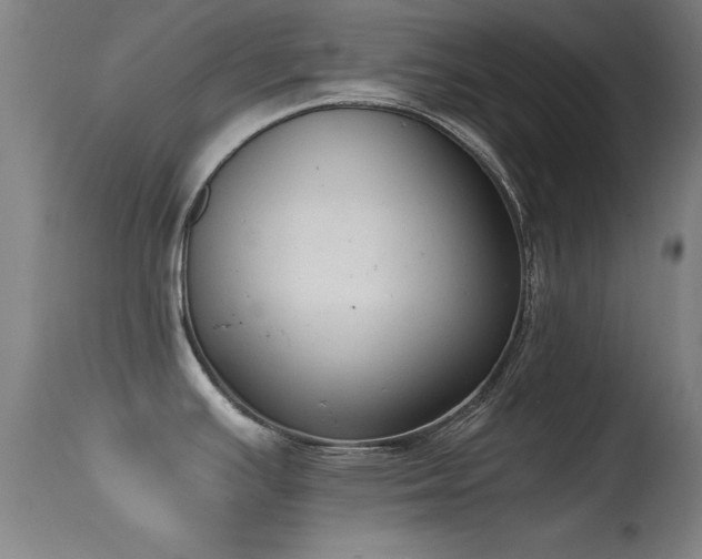 X0000114661391200910201521