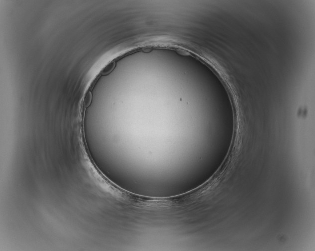 X0000114661392200910201521