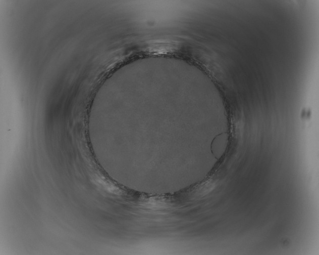 X0000114661393200910201520