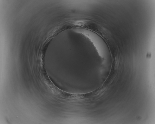 X0000114661394200910201520