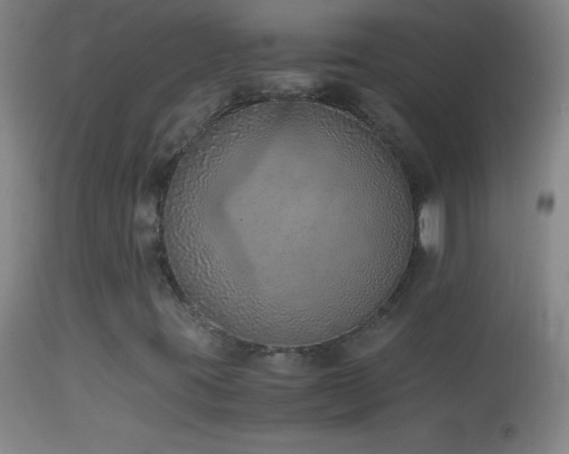 X0000114661395200910201520