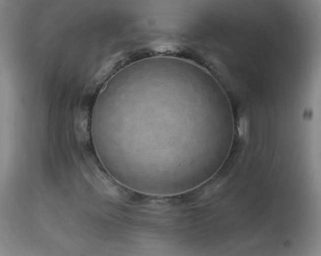 X0000114661396200910201520