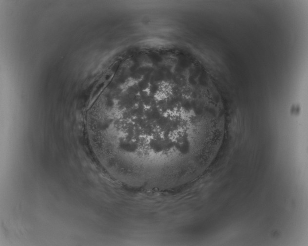 X0000114661397200910201520