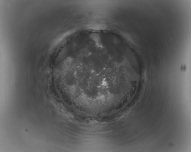 X0000114661398200910201520