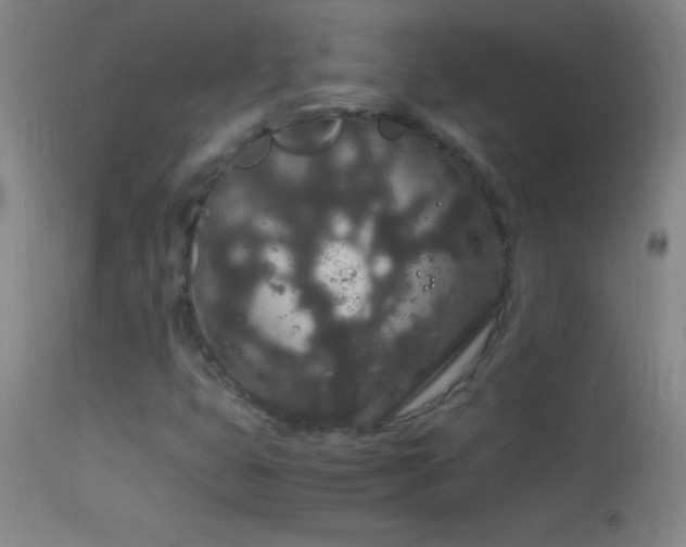 X0000114661399200910201520