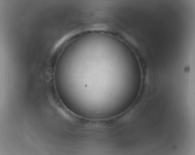 X0000114661400200910201520