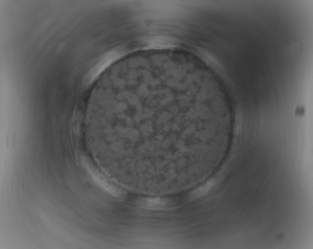 X0000114661401200910201520