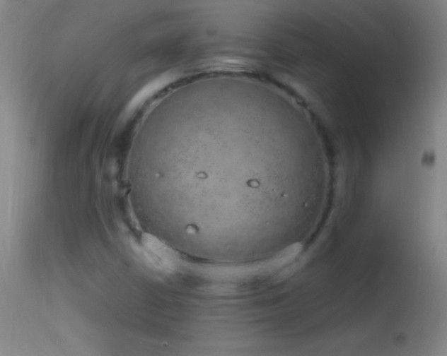 X0000114661402200910201520