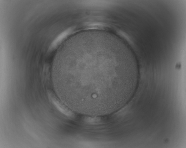 X0000114661403200910201520