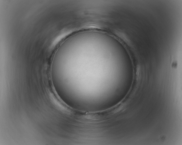 X0000114661404200910201520