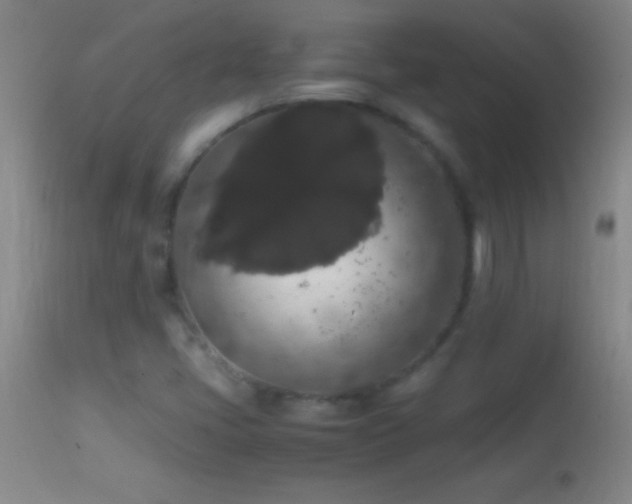 X0000114661405200910201520