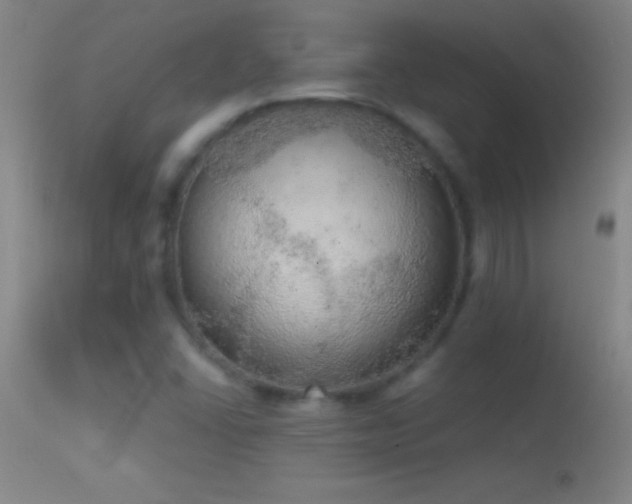 X0000114661406200910201520