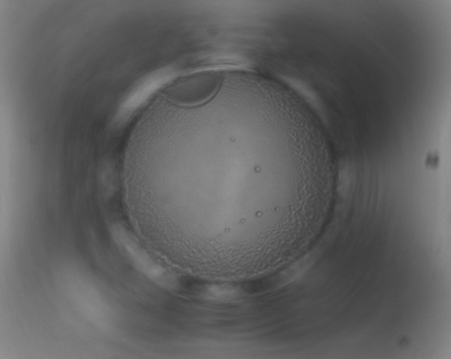 X0000114661407200910201520