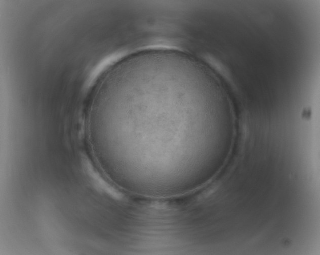 X0000114661408200910201520