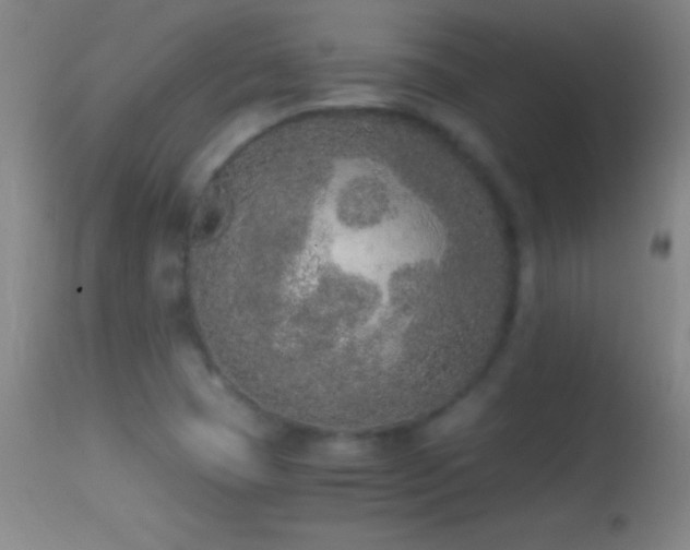 X0000114661409200910201520